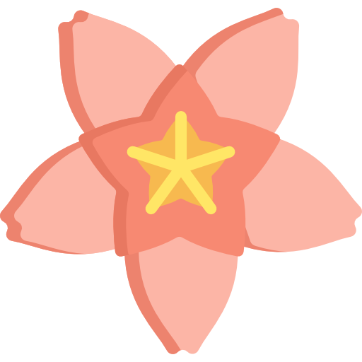 Cherry blossom